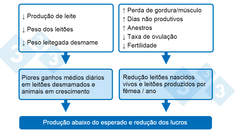 Gráfico 1. Consequências do baixo consumo de nutrientes na lactação.